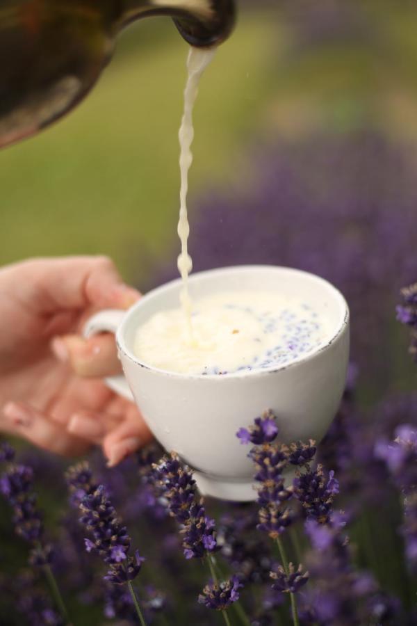 Lavender Valley Perekrestnoye Ngoại thất bức ảnh